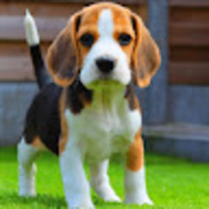 Meet your Posher, Landon